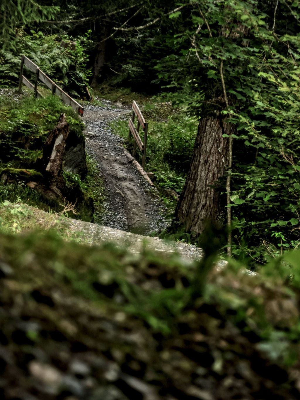 7. Swiss Epic: Mente sobre el cuerpo