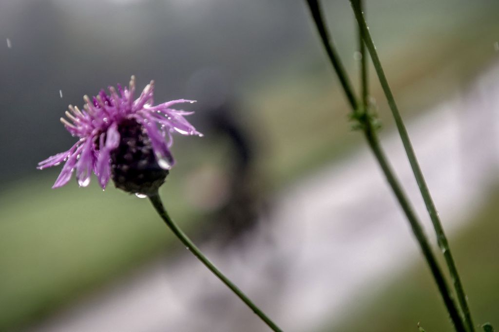 6. Swiss Epic: El juego mental