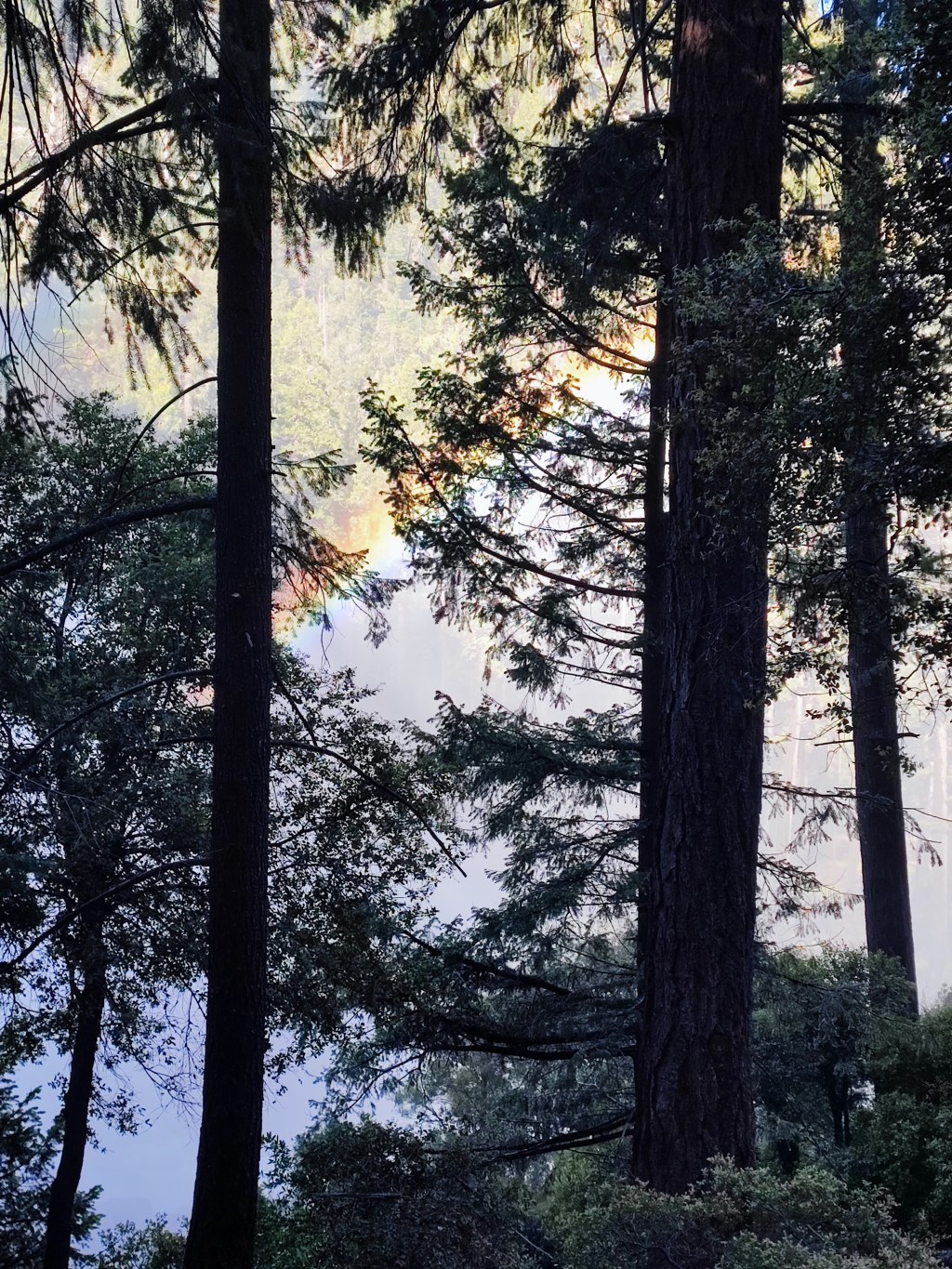 5. Swiss Epic: Recuperar un desbalance