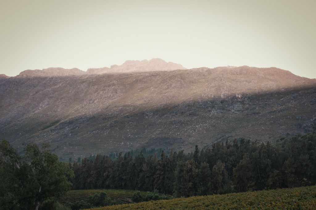 7. Cape Epic: Una salvada